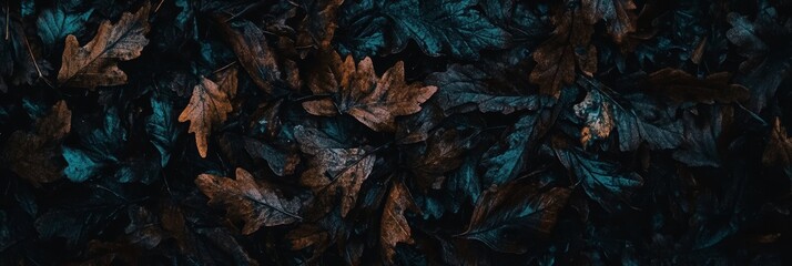 A layer of autumn leaves covers the dark forest ground, creating a tranquil and peaceful atmosphere in late afternoon light