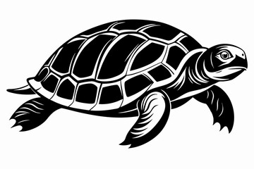 Turtle silhouette vector illustration