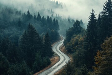 Serene Journey: Mystical Morning on a Winding Road Through a Pine Forest