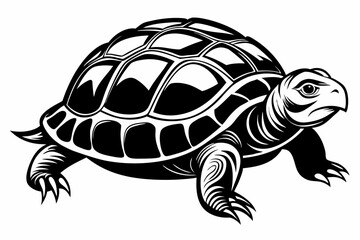 Turtle silhouette vector illustration