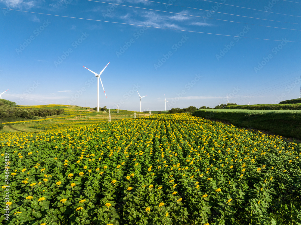 Wall mural view of wind power turbine in field