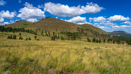 Coconino National Forest Landscapes near Flagstaff Arizona, America, USA.