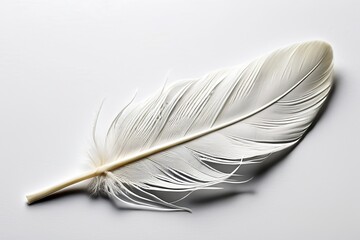 Delicate white feather isolated on a clean white background, ideal for minimalist and soft-themed designs.