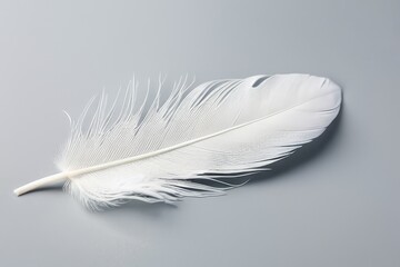 Obraz premium Delicate white feather isolated on a clean white background, ideal for minimalist and soft-themed designs.