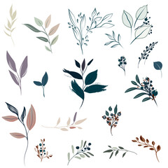 Set of vector abstract floral foliage isolated on white background