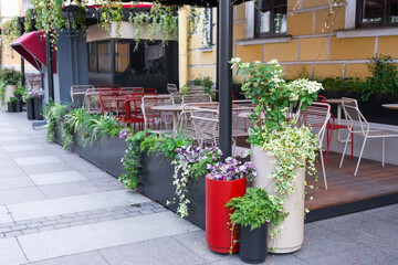 Outdoor landscaping - pots and planters on the city street with outdoor flowers violets, marigolds, ivy. Decoration of cafes, windows of the house with flowerbeds with flowering plants