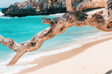 A weathered, gnarled tree branch frames a scene of a pristine sandy beach and turquoise water. Generated with AI.