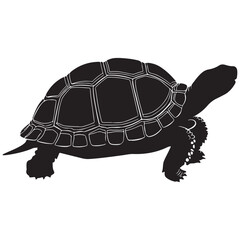 Turtle Vector Silhouette, Aldabra Giant Tortoise silhouettes and icons, sea turtle logo tattoo design stencil vector illustration