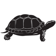 Turtle Vector Silhouette, Aldabra Giant Tortoise silhouettes and icons, sea turtle logo tattoo design stencil vector illustration