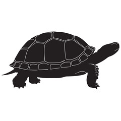 Turtle Vector Silhouette, Aldabra Giant Tortoise silhouettes and icons, sea turtle logo tattoo design stencil vector illustration