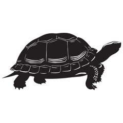 Turtle Vector Silhouette, Aldabra Giant Tortoise silhouettes and icons, sea turtle logo tattoo design stencil vector illustration