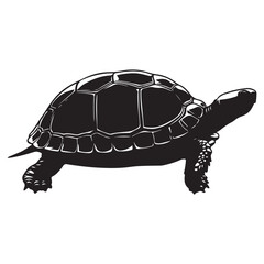 Turtle Vector Silhouette, Aldabra Giant Tortoise silhouettes and icons, sea turtle logo tattoo design stencil vector illustration