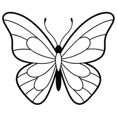 A Butterfly vector art 