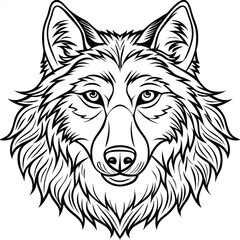 A wolf head vector illustration
