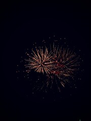 Obraz premium fireworks in the night sky