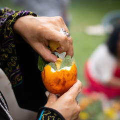 peruvian ethnic woman looking at a sacred coca leaf