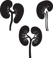 Human Kidney Silhouette