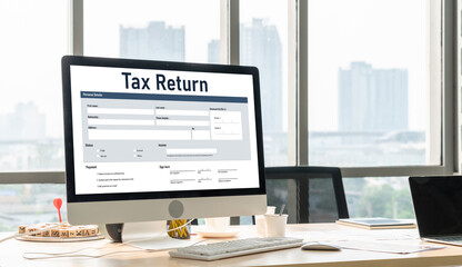 Online tax return form for submitting individual income tax return form snugly on the internet...