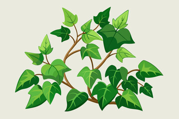 Ivy, watercolor clipart illustration with isolated background.
