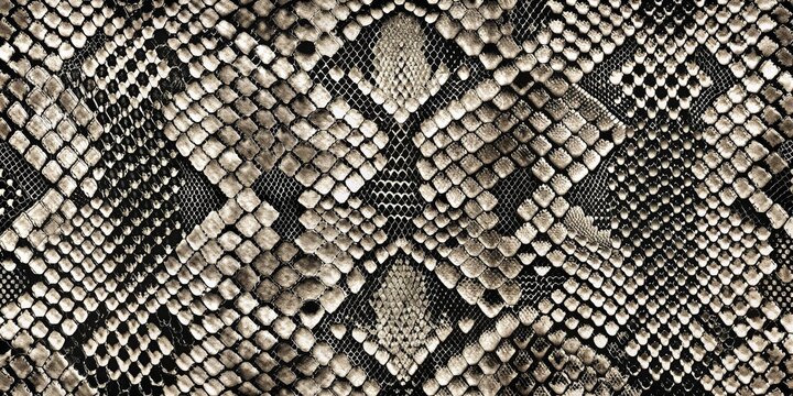 Close-Up Snake Skin Texture in Black and White, Abstract Pattern, Reptile Skin, Animal Print, Seamless Design, texture, pattern