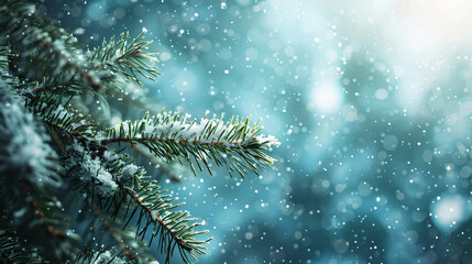 Snow falling on a pine tree branch during a magical winter day with turquoise blue copy space