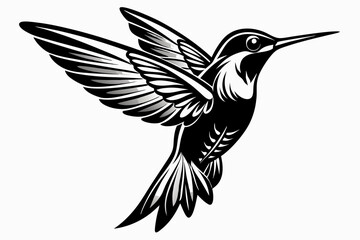  Hummingbird silhouette vector, Flying bird illustration