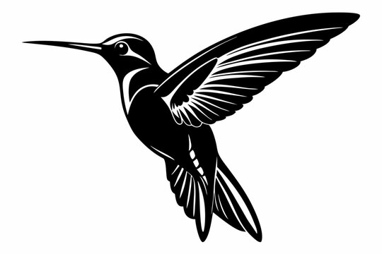 recommend clip art:  Hummingbird silhouette vector, Flying bird illustration