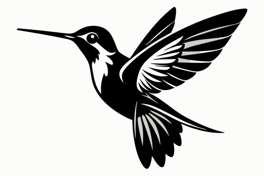 recommend clip art:  Hummingbird silhouette vector, Flying bird illustration