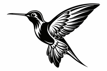 Hummingbird silhouette vector, Flying bird illustration