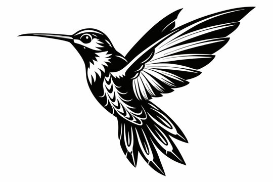recommend clip art: Hummingbird silhouette vector, Flying bird illustration