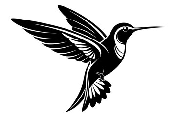 Hummingbird silhouette vector, Flying bird illustration