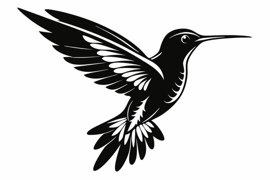 recommend clip art: Hummingbird silhouette vector, Flying bird illustration
