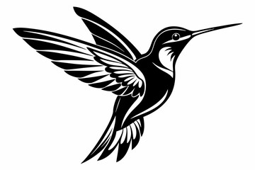 Hummingbird silhouette vector, Flying bird illustration