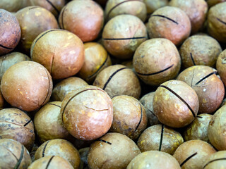 Macadamia nut is the fruit of a plant of the Proteaceae family.