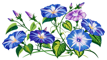 Vibrant Morning Glory Flowers With Green Leaves - Illustration of morning glory flowers with leaves, showcasing natural beauty and elegance. Ideal for botanical designs and nature-themed projects.