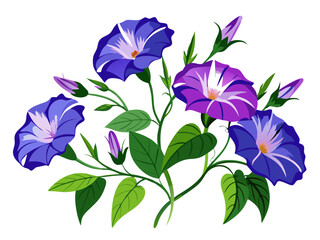 Vibrant Morning Glory Flowers With Green Leaves - Illustration of morning glory flowers with leaves, showcasing natural beauty and elegance. Ideal for botanical designs and nature-themed projects.