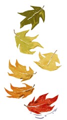 Autumn leaves falling pencil drawing