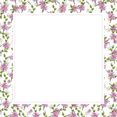 Frame design set delicate wild flowers on white background