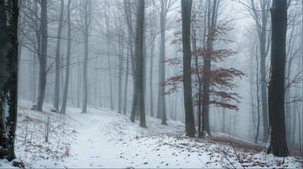 Naklejka premium Snowy forest with bare trees and misty atmosphere