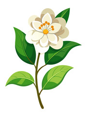 Illustration Of Jasmine Flowers With Leaves -looming jasmine flowers with vibrant green leaves. Perfect for botanical art, nature themes, and floral designs conveying freshness and elegance.