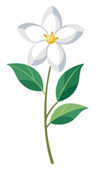 Illustration Of Jasmine Flowers With Leaves -looming jasmine flowers with vibrant green leaves. Perfect for botanical art, nature themes, and floral designs conveying freshness and elegance.