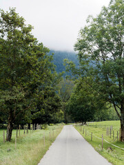 Bayerisches Oberland. Wanderweg am Fuße des Wallbergs „Unterwallberg“, der von Valepperstraße nach Rottach-Egern führt, gesäumt von Bäumen und grünen Wiesen