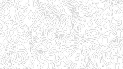 Transparent Topographic line map. Modern design with White background with topographic wavy pattern design, 