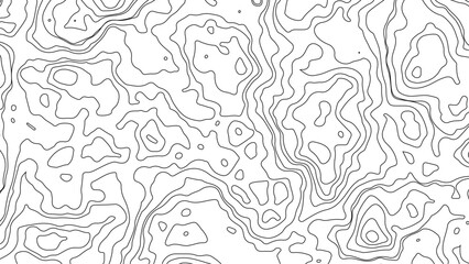 Transparent Topographic line map. Modern design with White background with topographic wavy pattern design, 