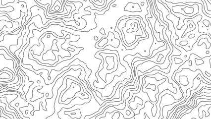 Transparent Topographic line map. Modern design with White background with topographic wavy pattern design, 