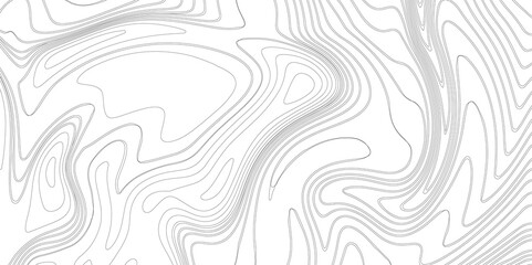 Transparent Topographic line map. Modern design with White background with topographic wavy pattern design, 