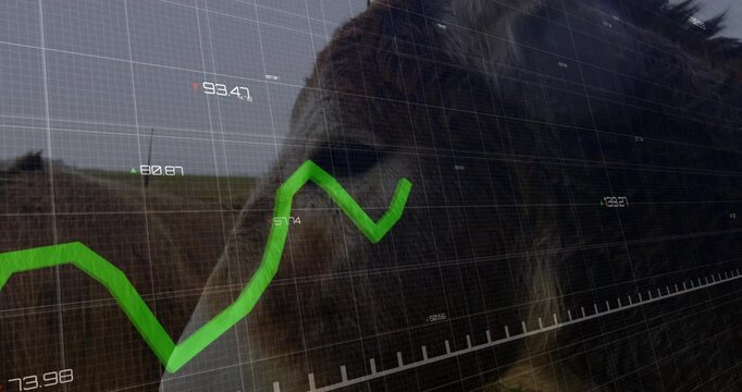 Green financial graph animation over close-up of donkey's face