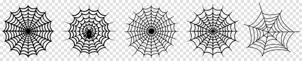 Obraz premium Spider web icons