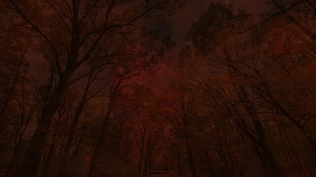 Precision-guided kamikaze drones fly towards their targets hidden in a forest, setting the war-torn area ablaze.