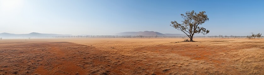 A panoramic view of a vast, arid landscape featuring a solitary tree and distant mountains.
